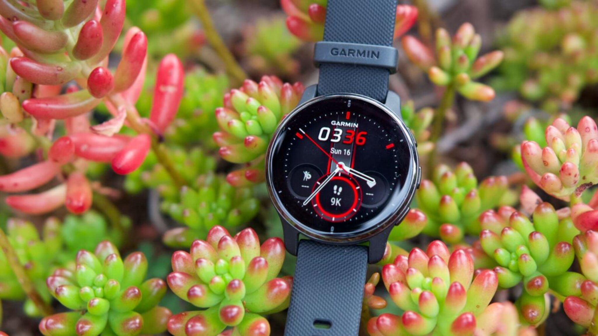 First Garmin watch gets longrequested AFib detection, with more to